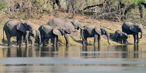 16-Day Namibia to Victoria Falls Explorer Safari