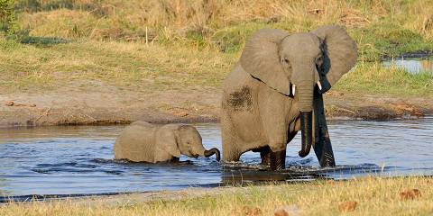 9-Day Northern Namibia Rivers, Wildlife & Waterfalls