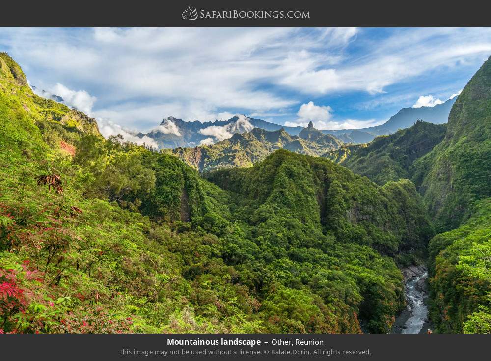 Mountainous landscape in Other, Réunion