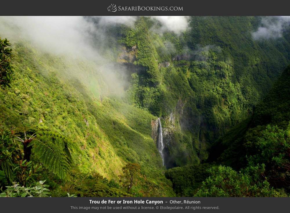 Trou de Fer or Iron Hole Canyon in Other, Réunion