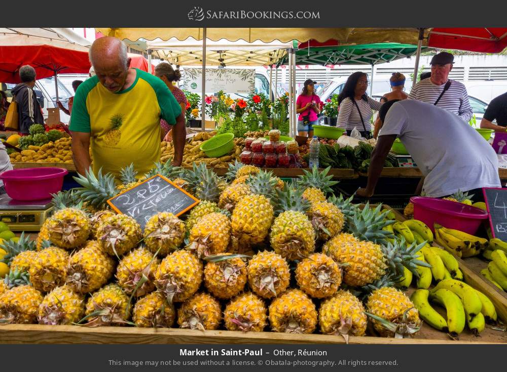 Market in Saint-Paul in Other, Réunion