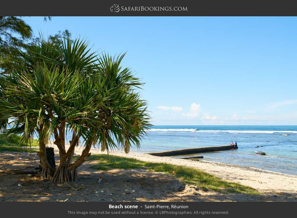Beach scene in Saint-Pierre, Réunion