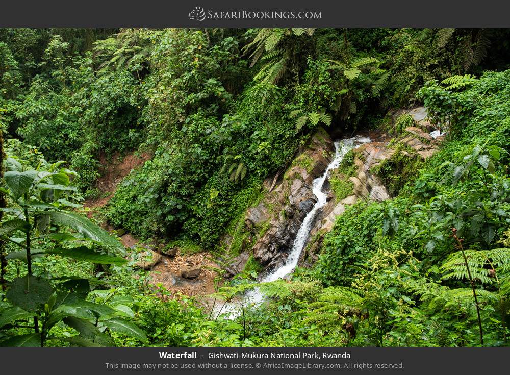Waterfall in Gishwati-Mukura National Park, Rwanda