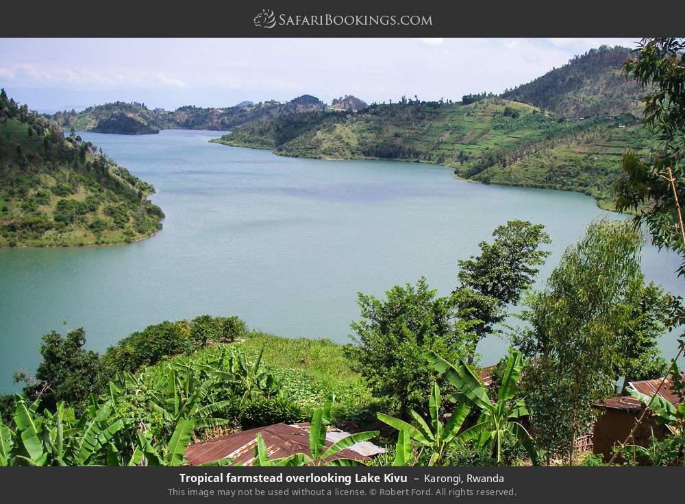 Tropical farmstead overlooking Lake Kivu in Kibuye, Rwanda