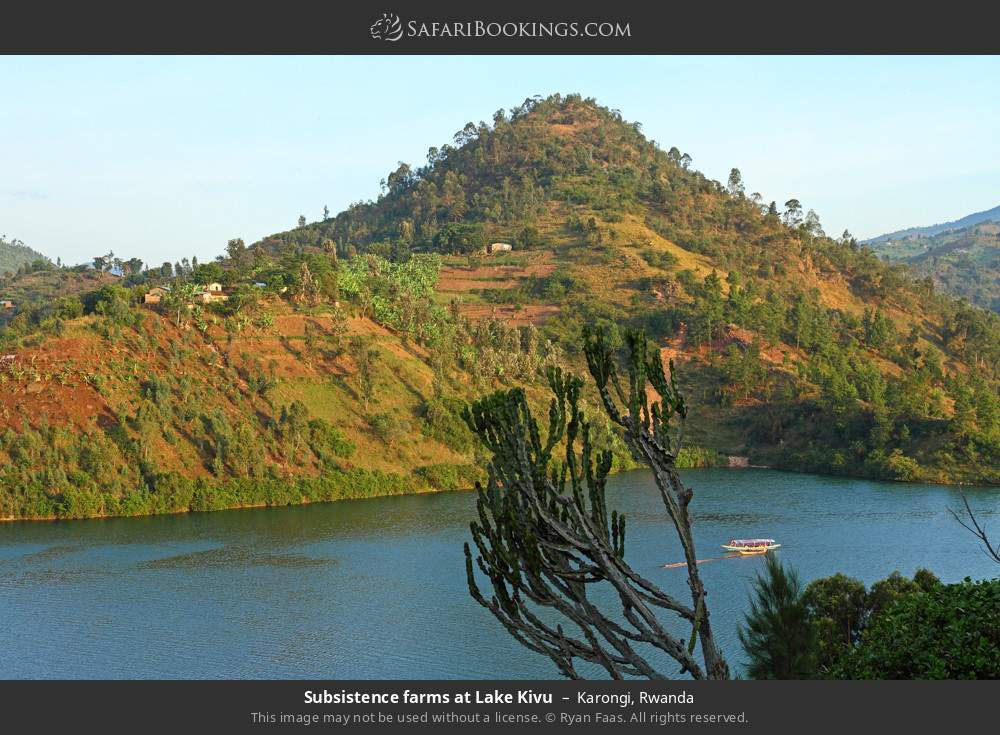 Subsistence farms at Lake Kivu in Kibuye, Rwanda