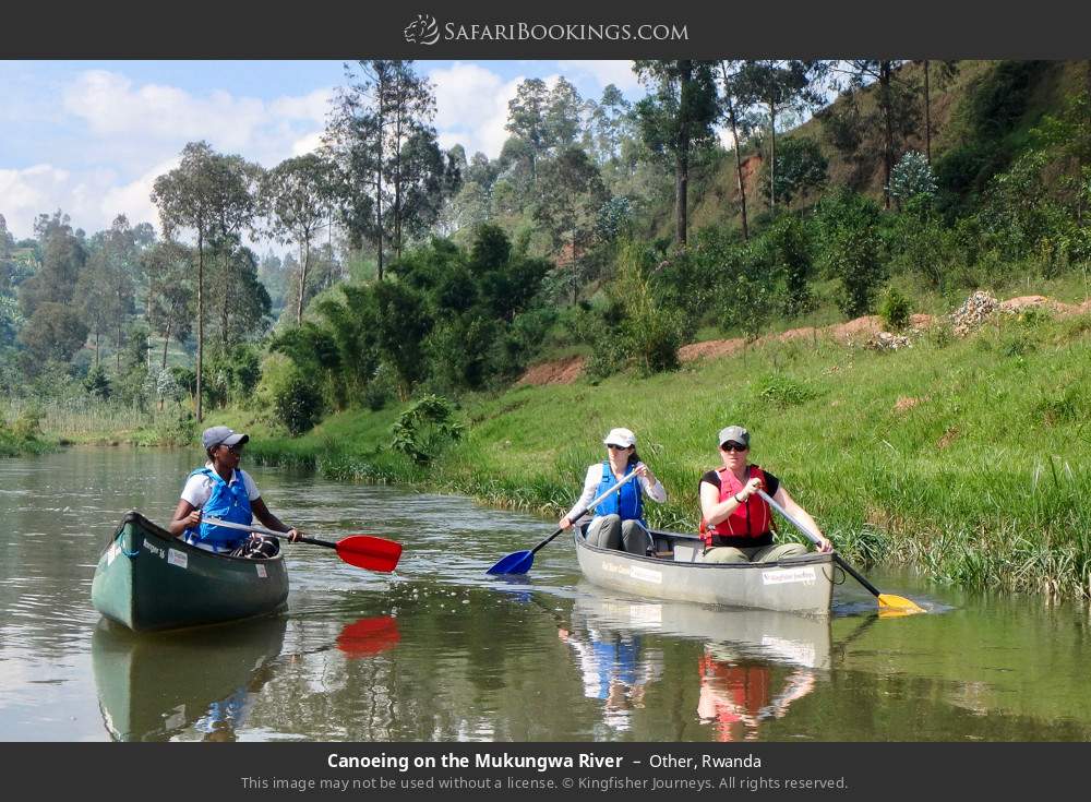 Canoeing on the Mukungwa River in Mukungwa River
, Rwanda