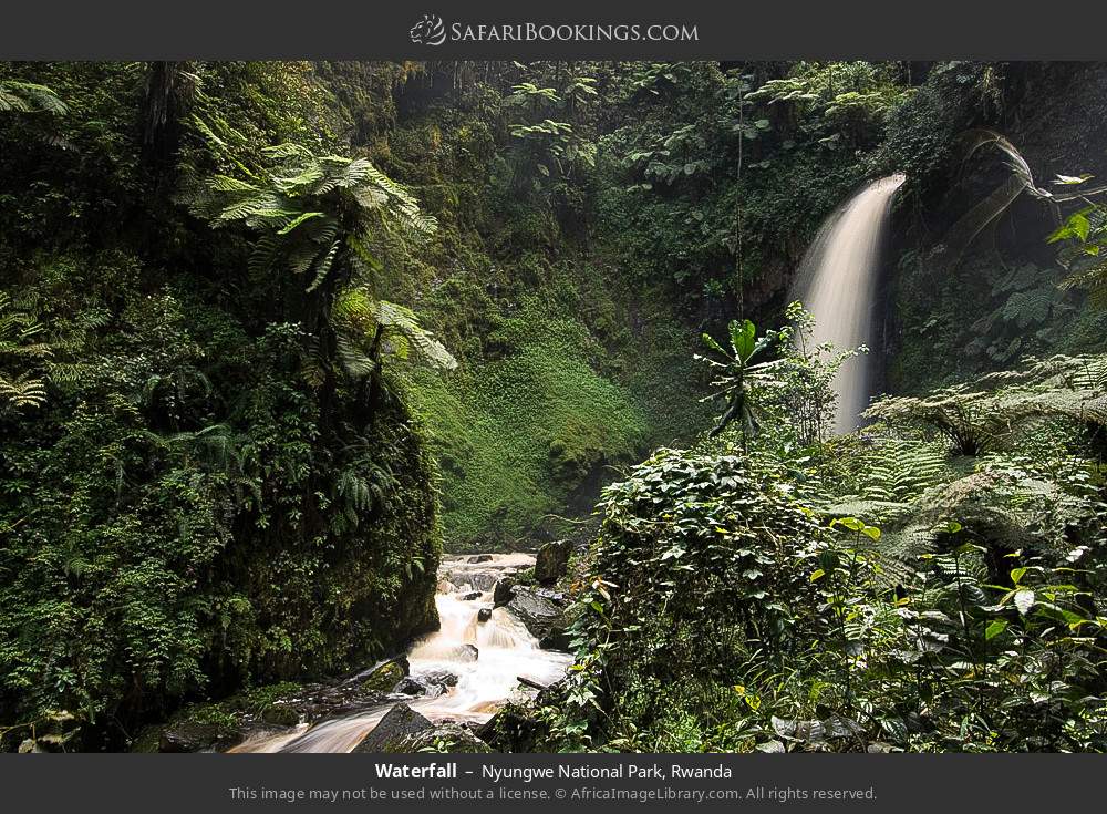 Waterfall in Nyungwe National Park, Rwanda