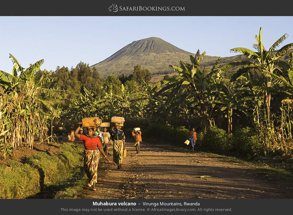 Muhabura volcano in Virunga Mountains, Rwanda