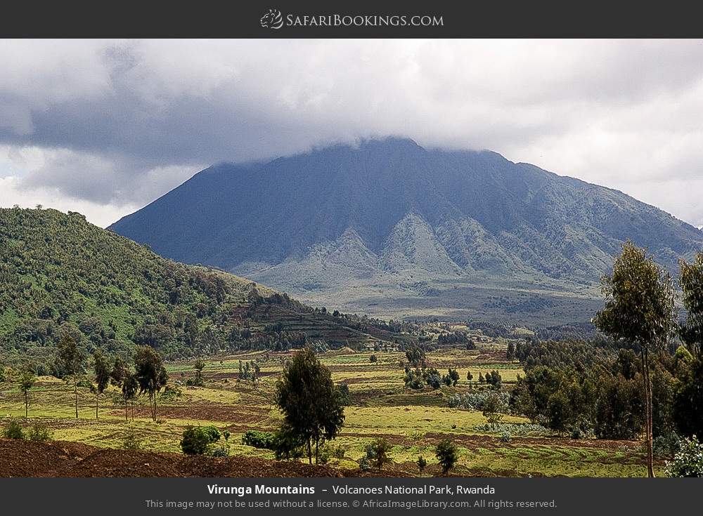 Virunga Mountains in Volcanoes National Park, Rwanda