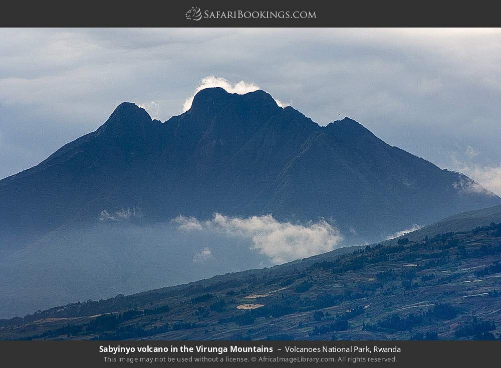 Sabyinyo volcano in the Virunga Mountains in Volcanoes National Park, Rwanda