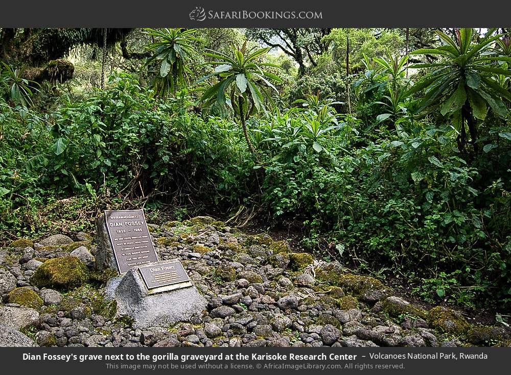 Dian Fossey's grave next to the gorilla graveyard at the Karisoke Research Center in Volcanoes National Park, Rwanda
