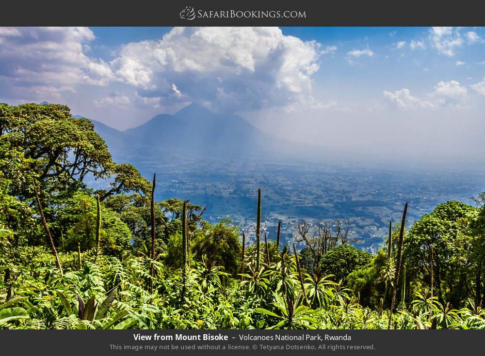 View from Mount Bisoke in Volcanoes National Park, Rwanda