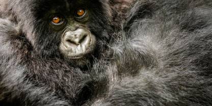 Rwanda