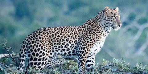 3-Day Akagera Big Five Safari and Half Kigali City Tour