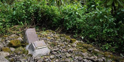 1-Day Dian Fossey Tomb Hike