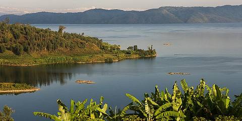 5-Day Nyungwe Forest National Park Safari