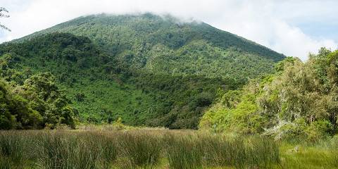 Rwanda Gorillas and Volcano Climbing