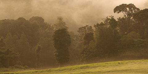 3-Day Akagera Big Five and Nyungwe Rain Forest Tour