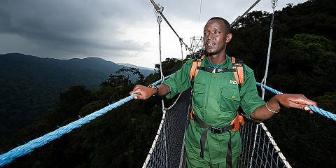 5-Day Rwanda Nyungwe Forest National Park Adventure