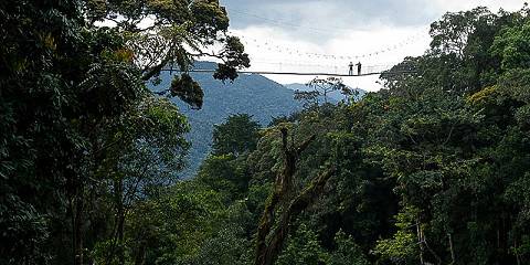 5-Day Nyungwe National Park and Culture Hertage Tour
