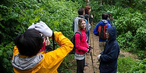 6-Day Chimpanzee and Golden Monkey Trekking Adventure