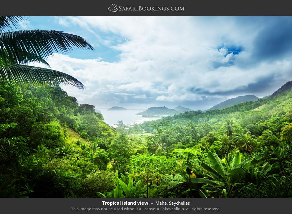Tropical island view in Mahe, Seychelles