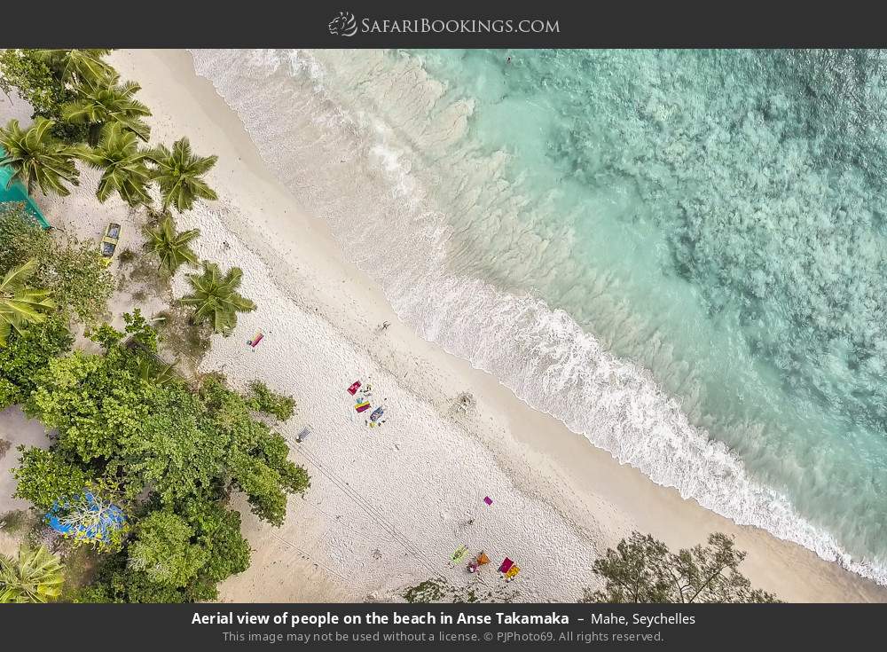 Aerial view of people on the beach in Anse Takamaka in Mahe, Seychelles