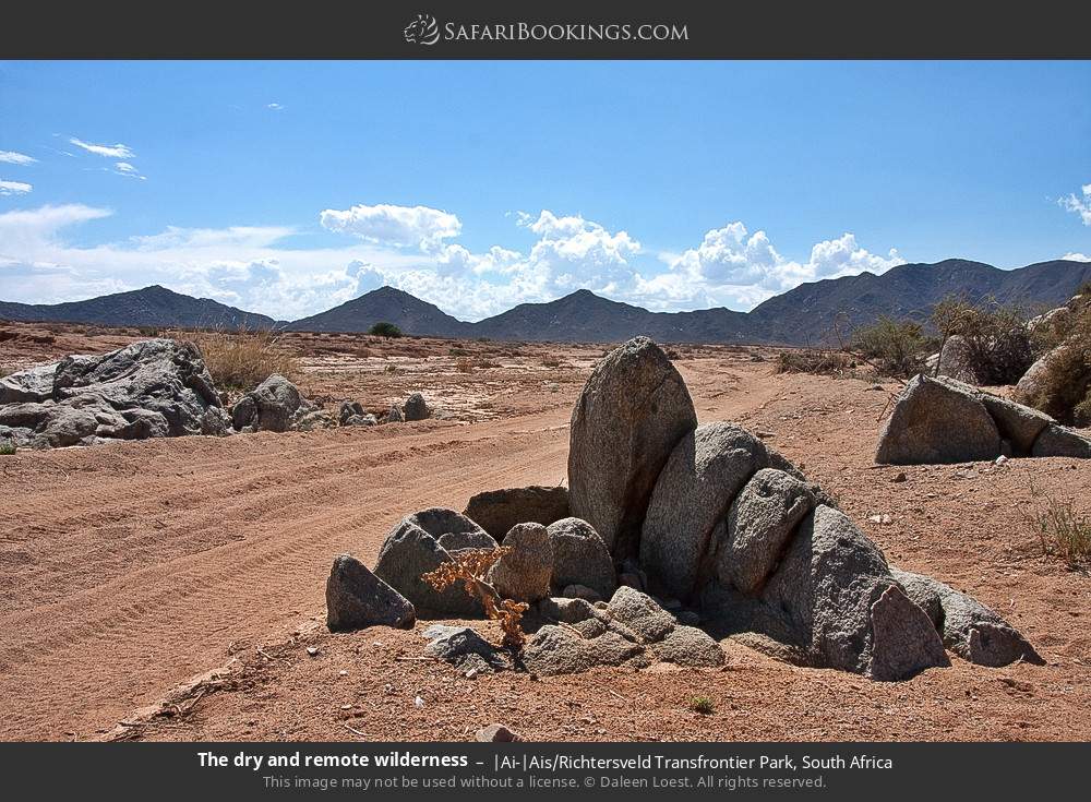 The dry and remote wilderness in |Ai-|Ais/Richtersveld Transfrontier Park, South Africa