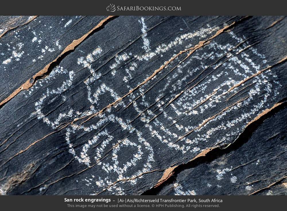 San rock engravings in |Ai-|Ais/Richtersveld Transfrontier Park, South Africa
