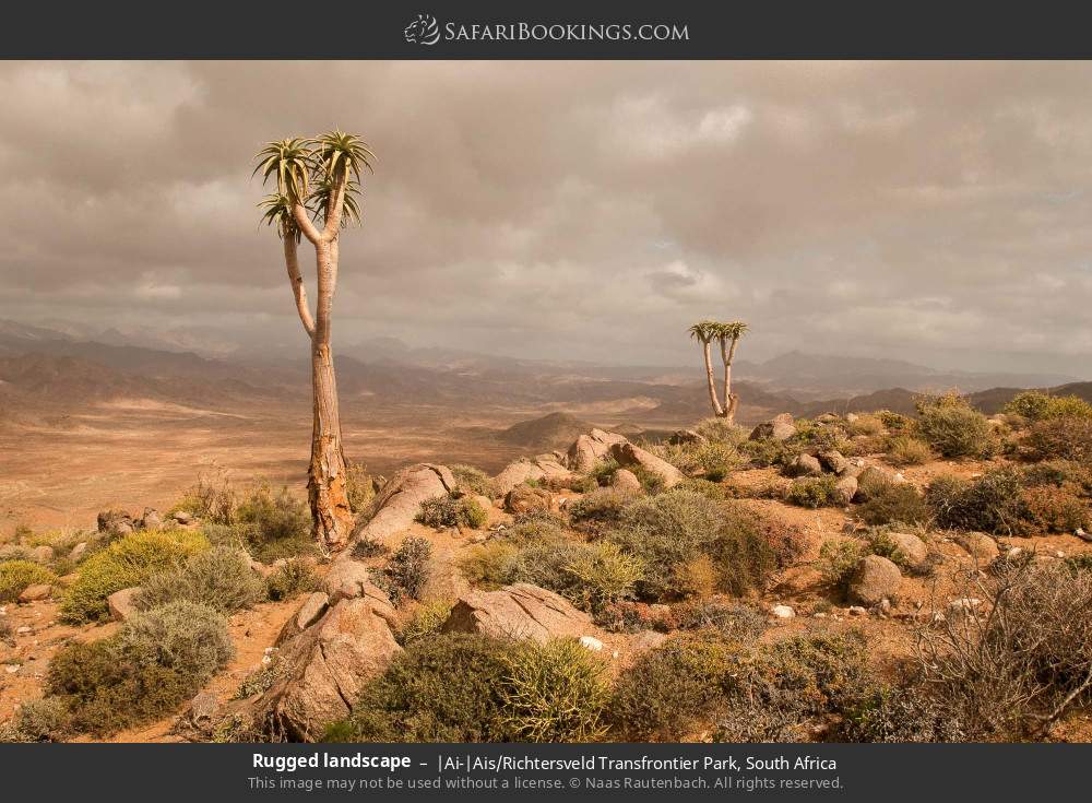 Rugged landscape in |Ai-|Ais/Richtersveld Transfrontier Park, South Africa