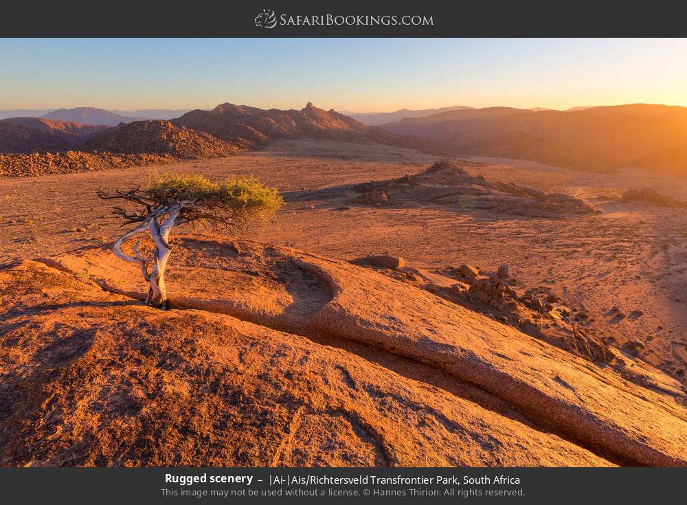 Rugged scenery in |Ai-|Ais/Richtersveld Transfrontier Park, South Africa