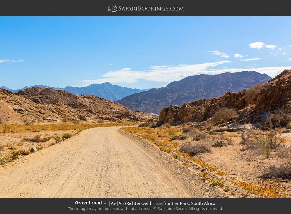 Gravel road in |Ai-|Ais/Richtersveld Transfrontier Park, South Africa
