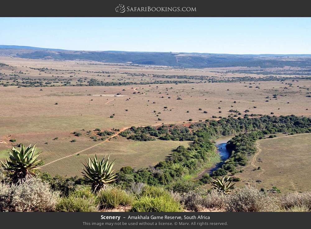 Scenery in Amakhala Game Reserve, South Africa