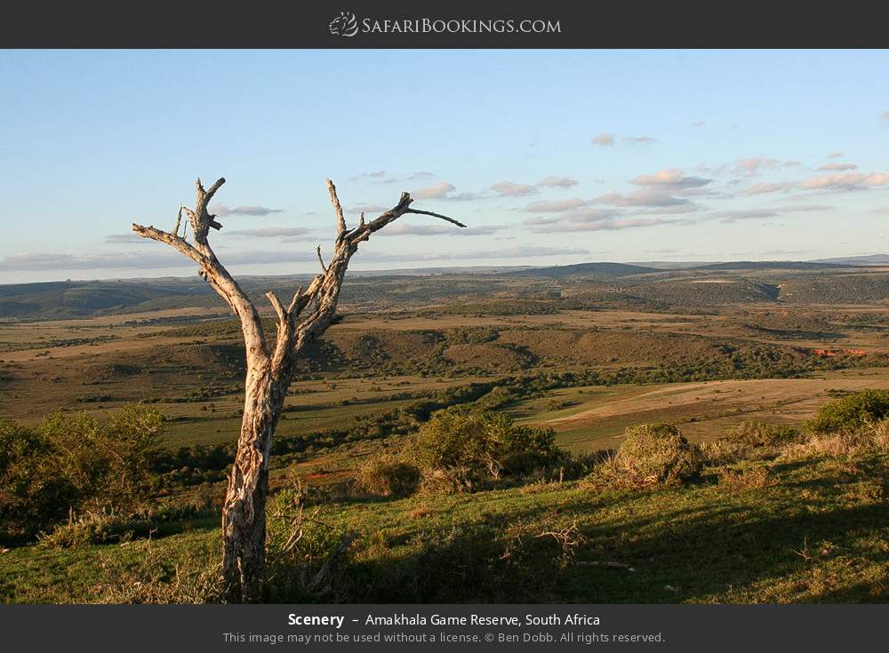 Scenery in Amakhala Game Reserve, South Africa
