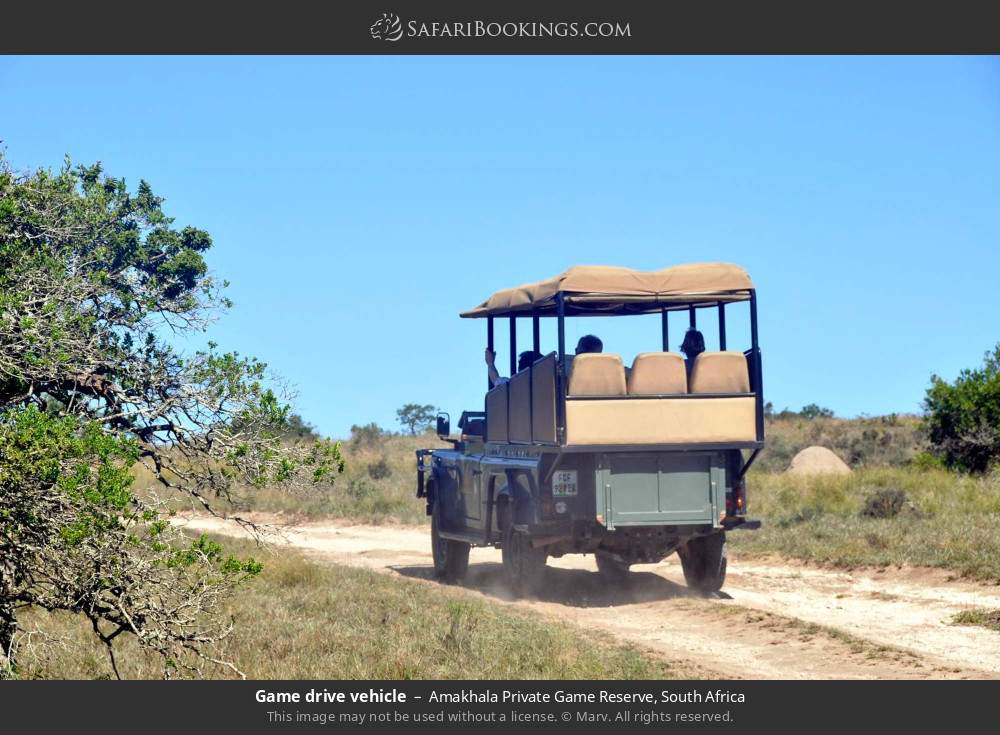 Game drive vehicle in Amakhala Private Game Reserve, South Africa