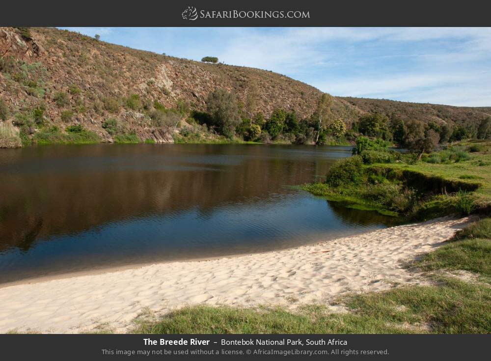 The Breede River in Bontebok National Park, South Africa