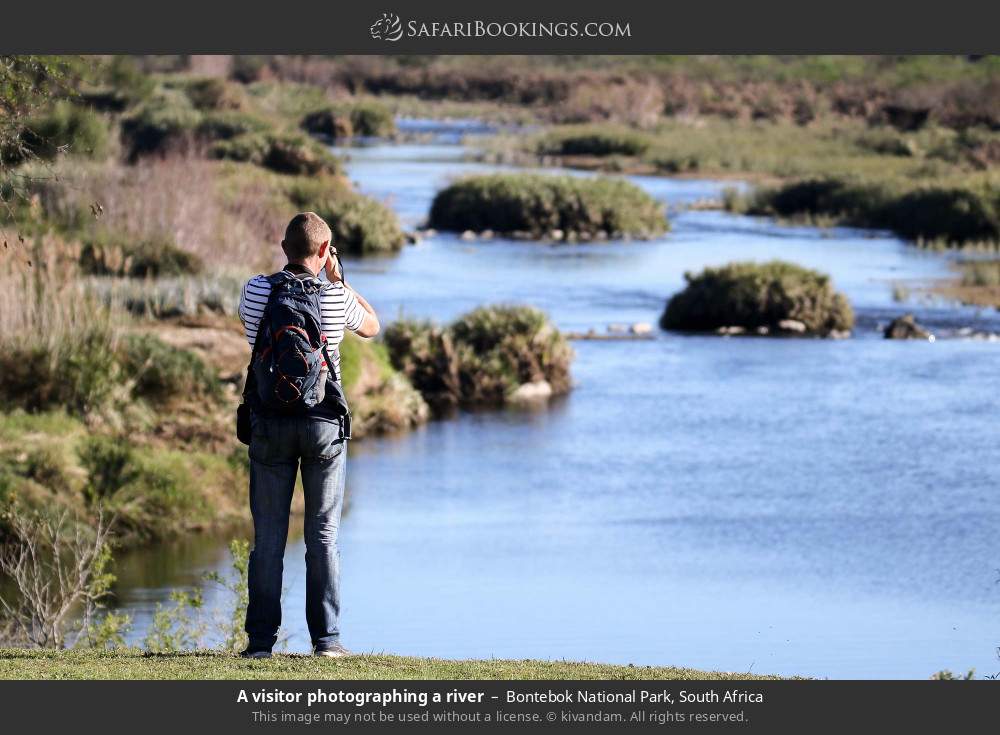 A visitor photographing a river in Bontebok National Park, South Africa