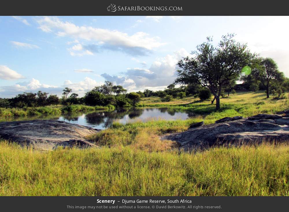 Scenery in Djuma Game Reserve, South Africa
