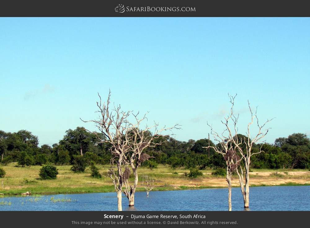 Scenery in Djuma Game Reserve, South Africa