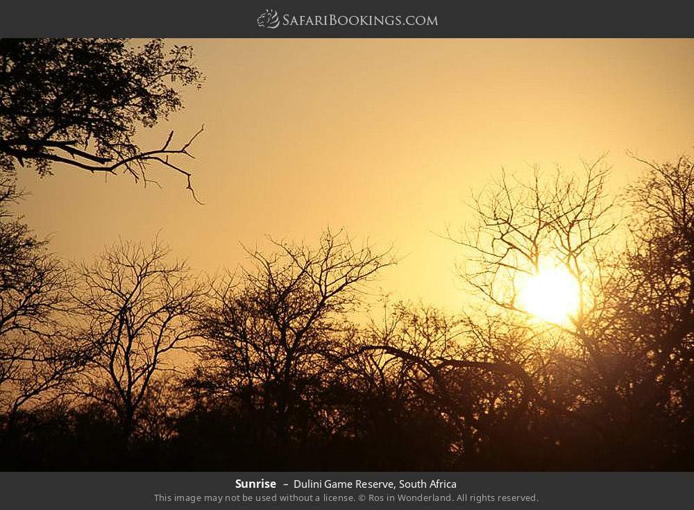 Sunrise in Dulini Game Reserve, South Africa