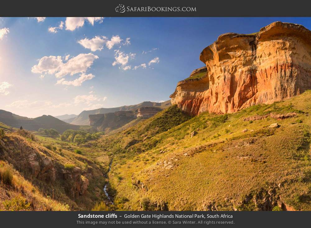 Sandstone cliffs in Golden Gate Highlands National Park, South Africa