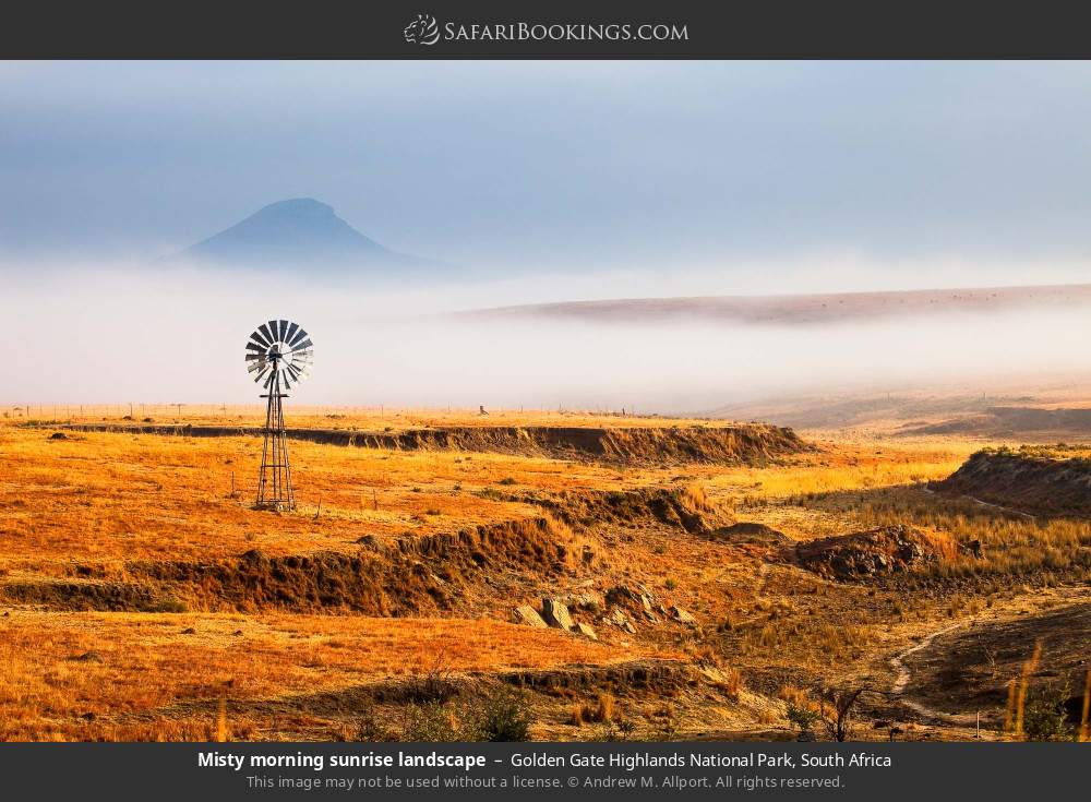 Misty morning sunrise landscape in Golden Gate Highlands National Park, South Africa