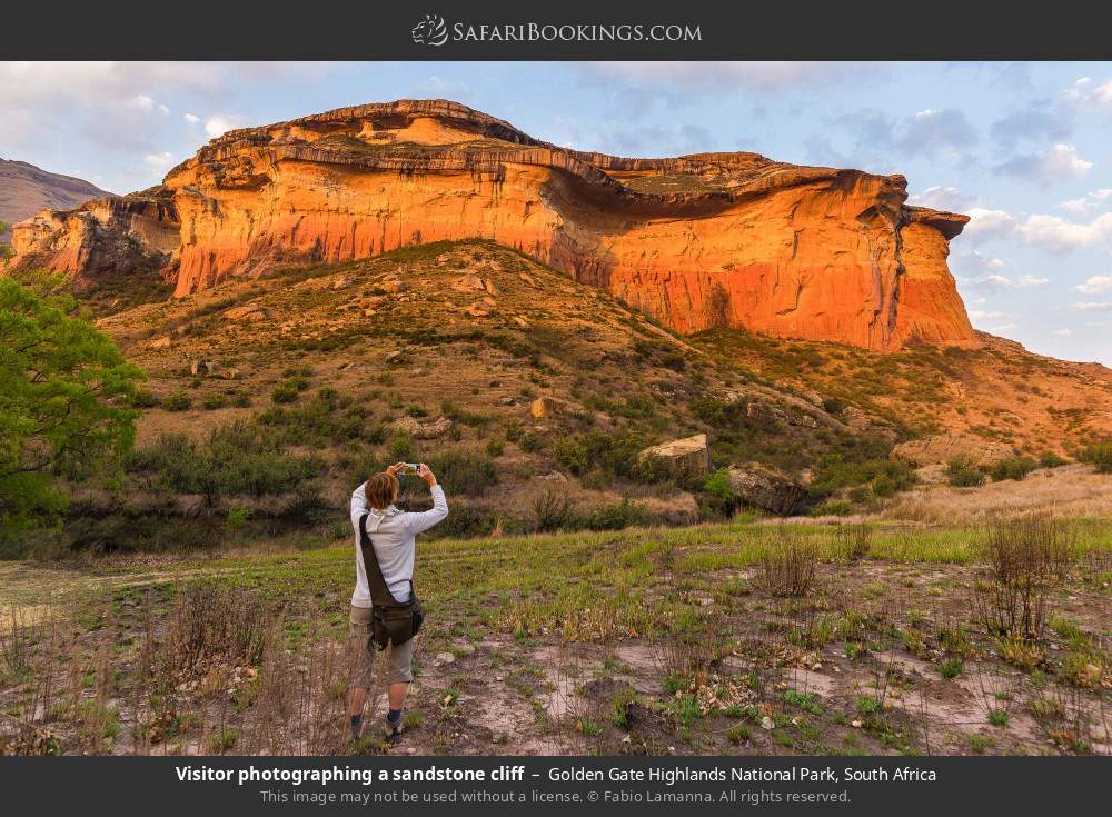Visitor photographing a sandstone cliff in Golden Gate Highlands National Park, South Africa