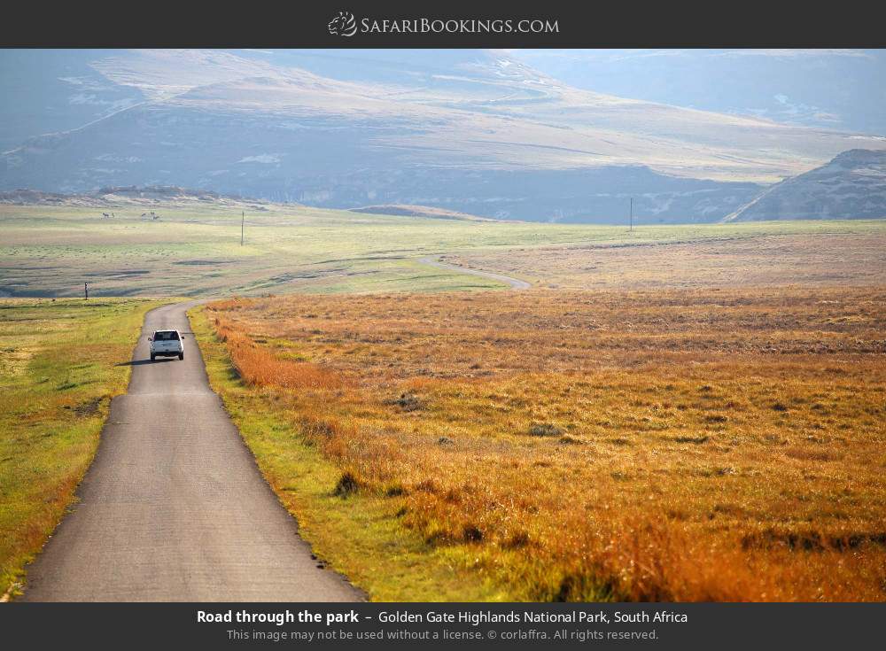 Road through the park in Golden Gate Highlands National Park, South Africa
