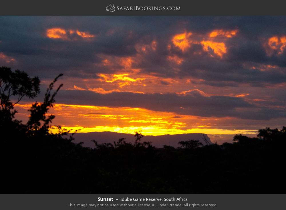 Sunset in Idube Game Reserve, South Africa