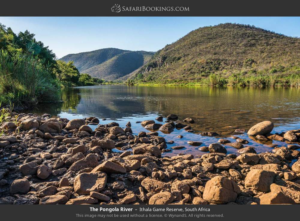 The Pongola River in Ithala Game Reserve, South Africa