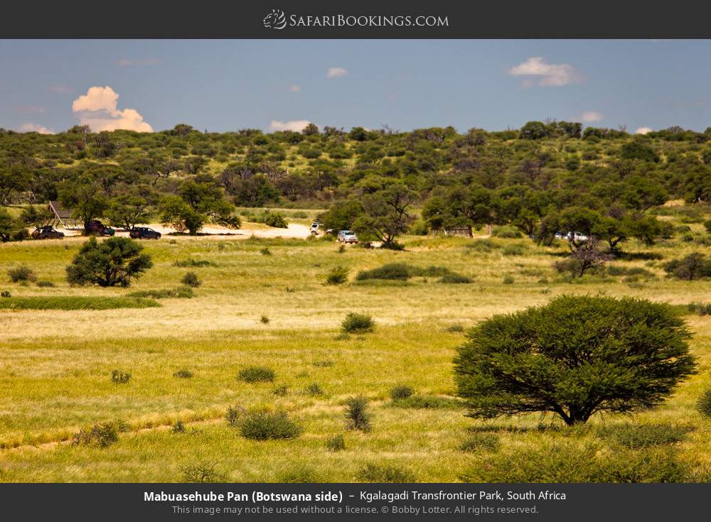 Mabuasehube Pan (Botswana side) in Kgalagadi Transfrontier Park, South Africa