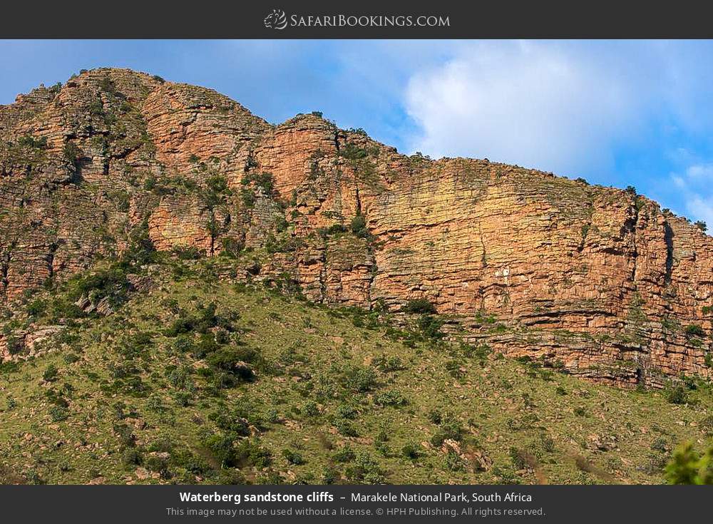 Waterberg sandstone cliffs in Marakele National Park, South Africa