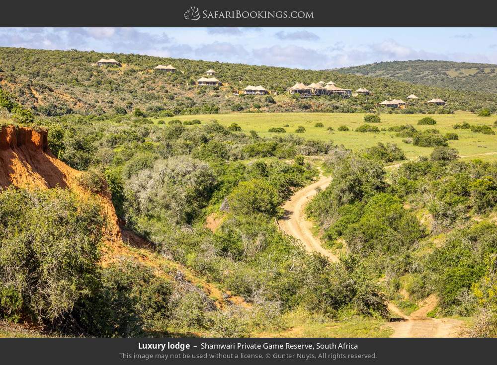 Luxury lodge in Shamwari Private Game Reserve, South Africa