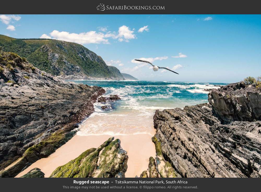 Rugged seascape in Tsitsikamma National Park, South Africa
